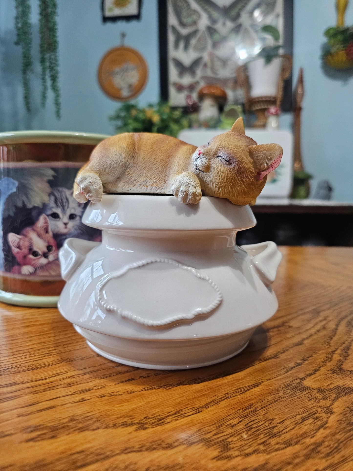 Cozy Kitten Ceramic Canister