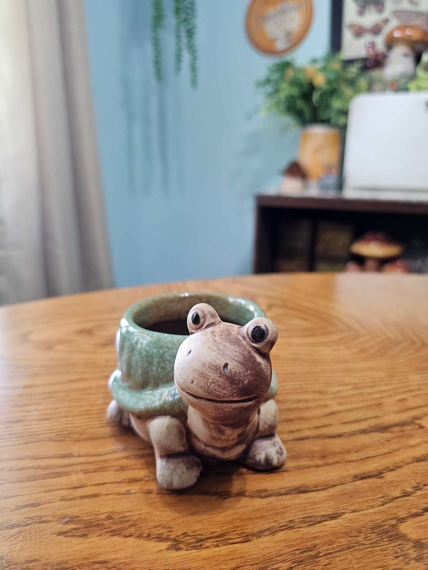 Turtle Planter