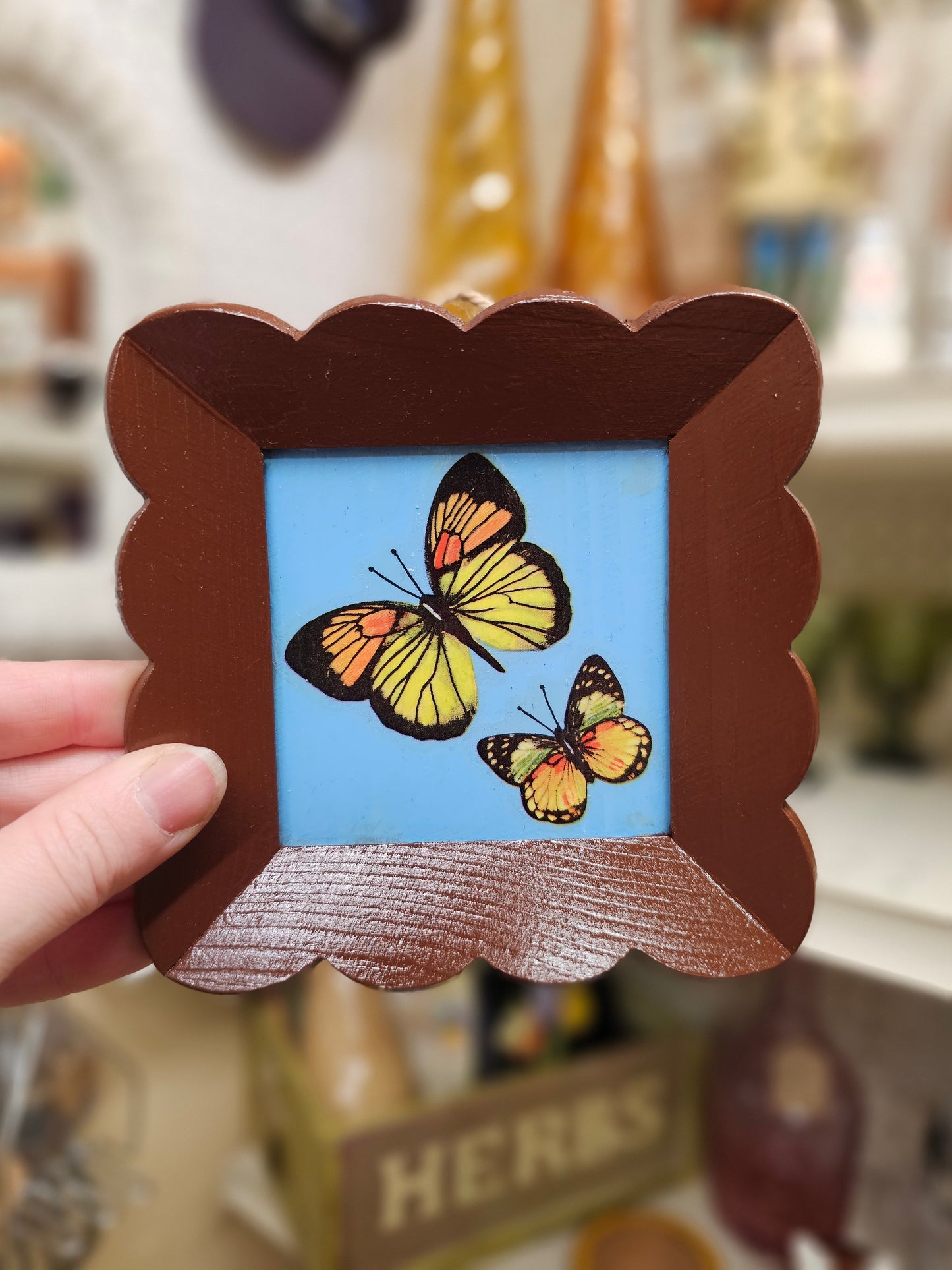 Brown Framed Butterflies on Blue