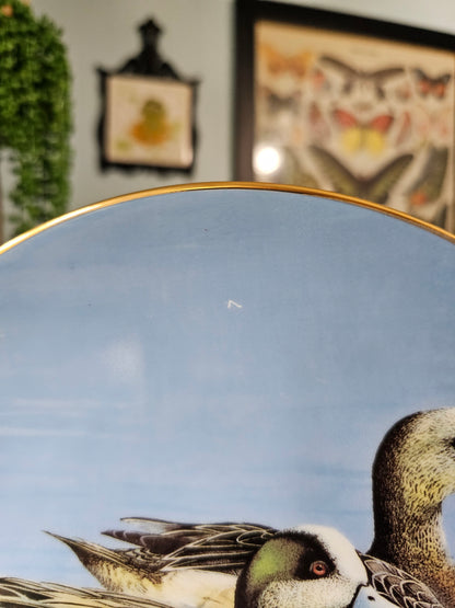 Wigeons Plate