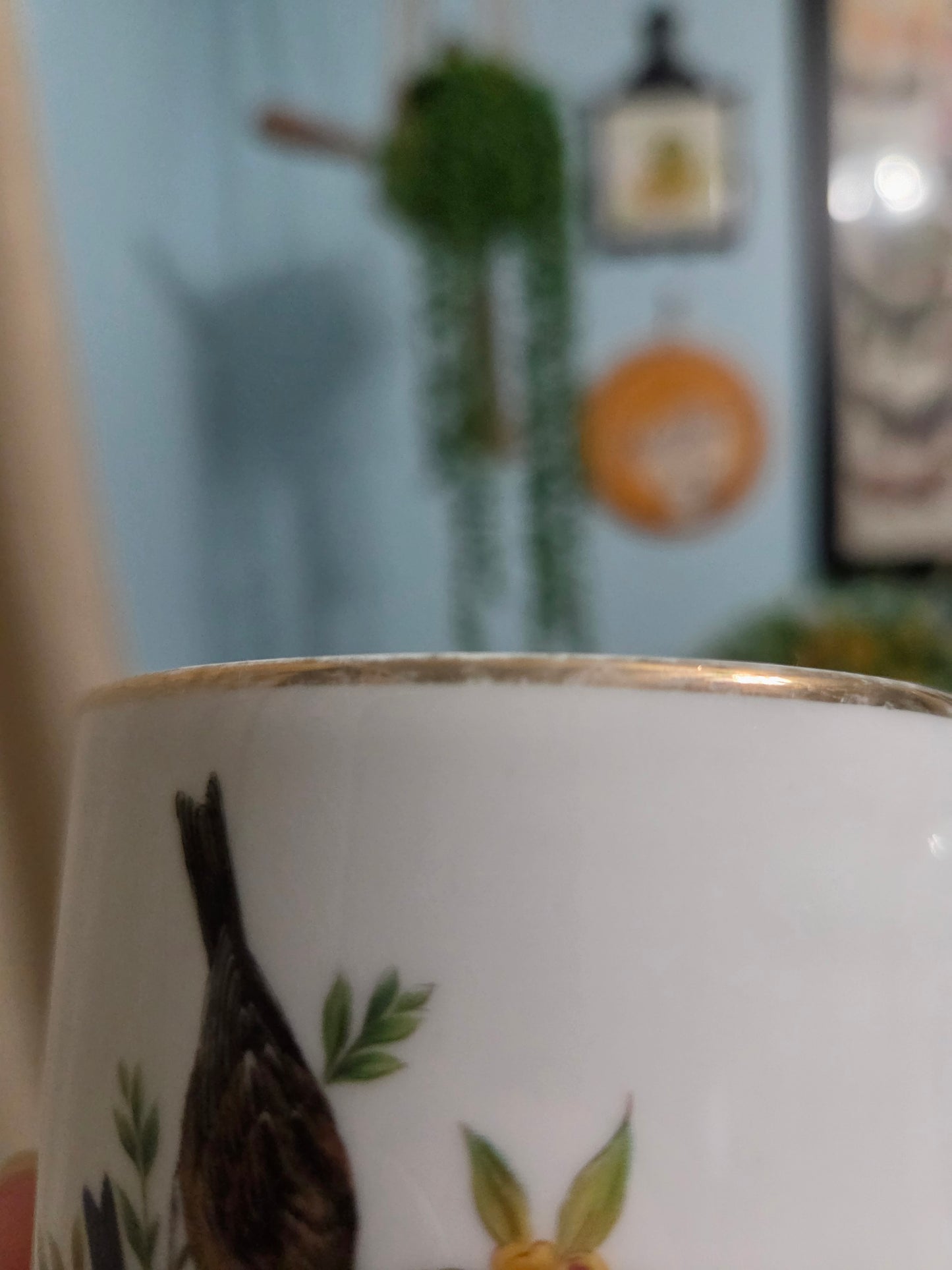 Grosbeak Bird Mug