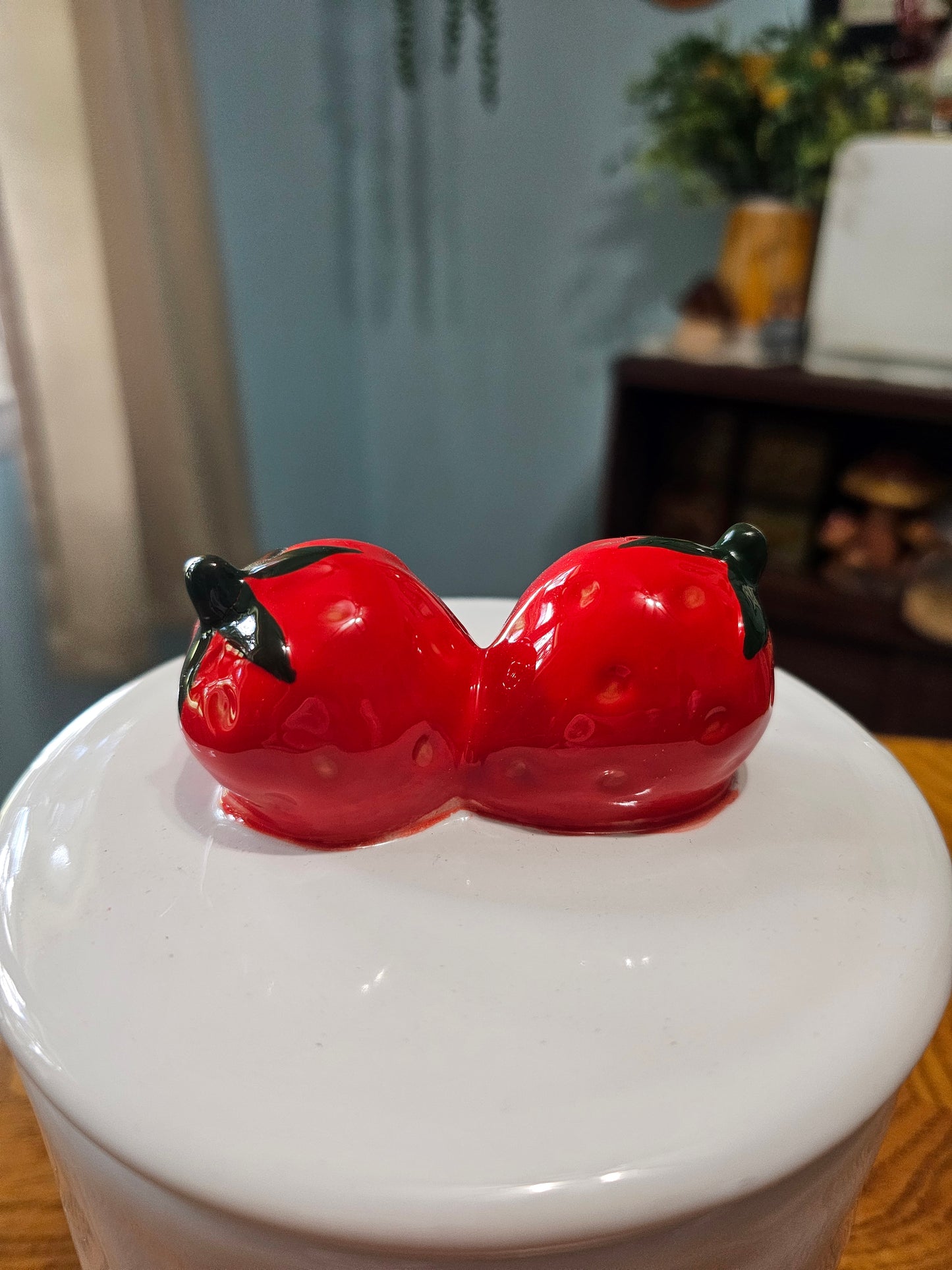 Strawberry Canister