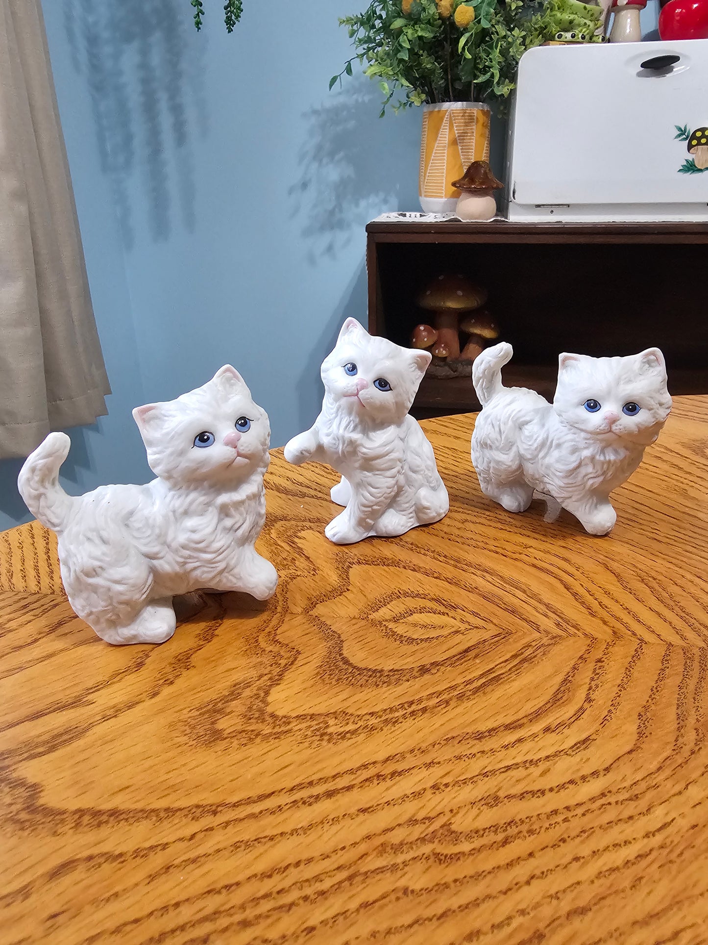 HOMCO Kittens