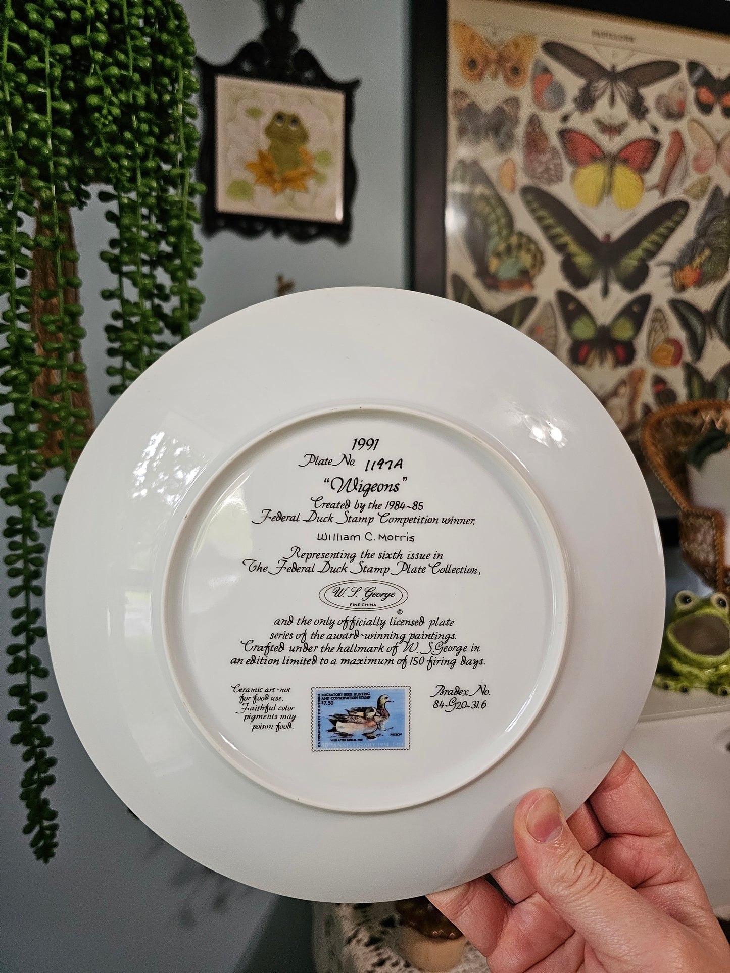 Wigeons Plate