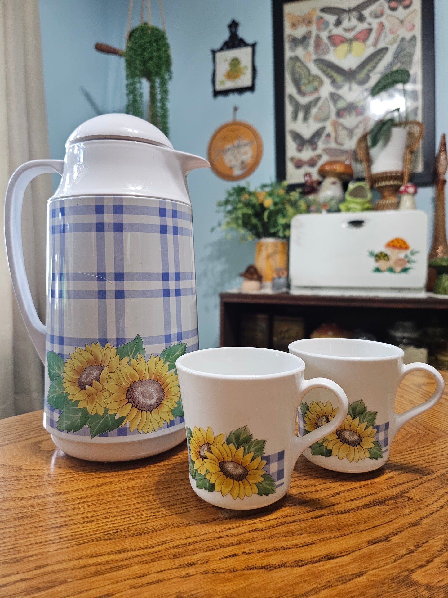 Sunsations Mugs