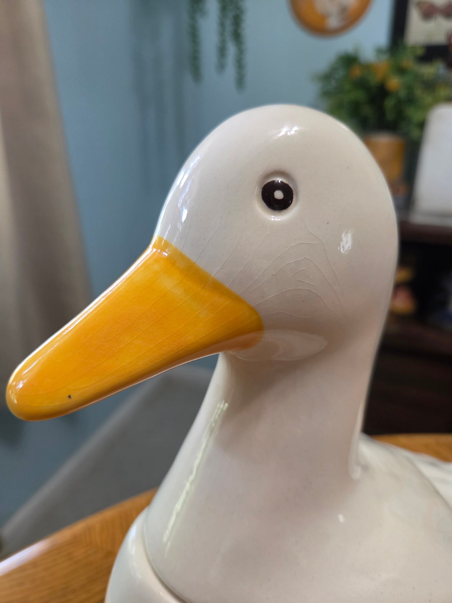 Sir Frances Drake Duck Cookie Jar