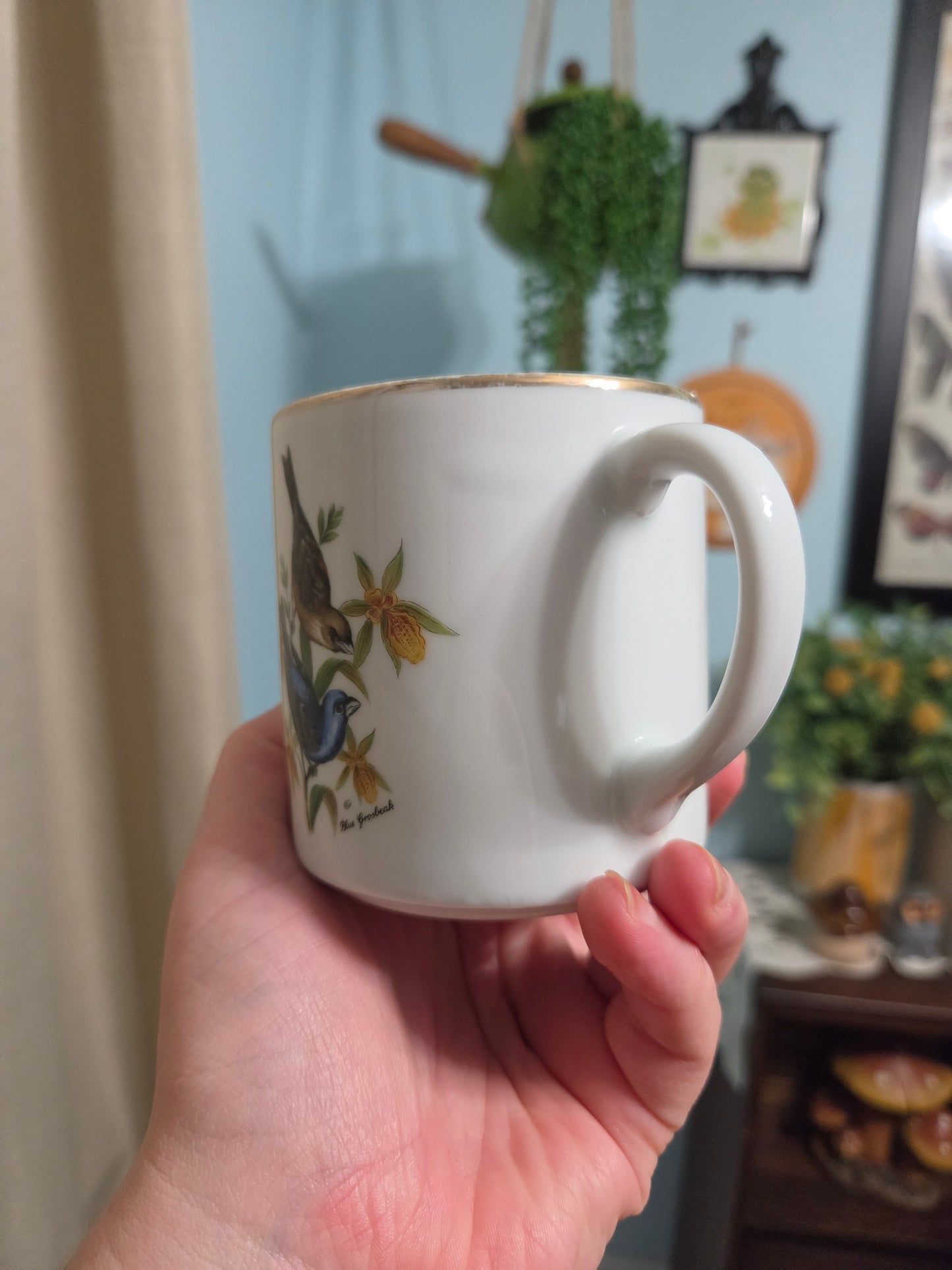 Grosbeak Bird Mug