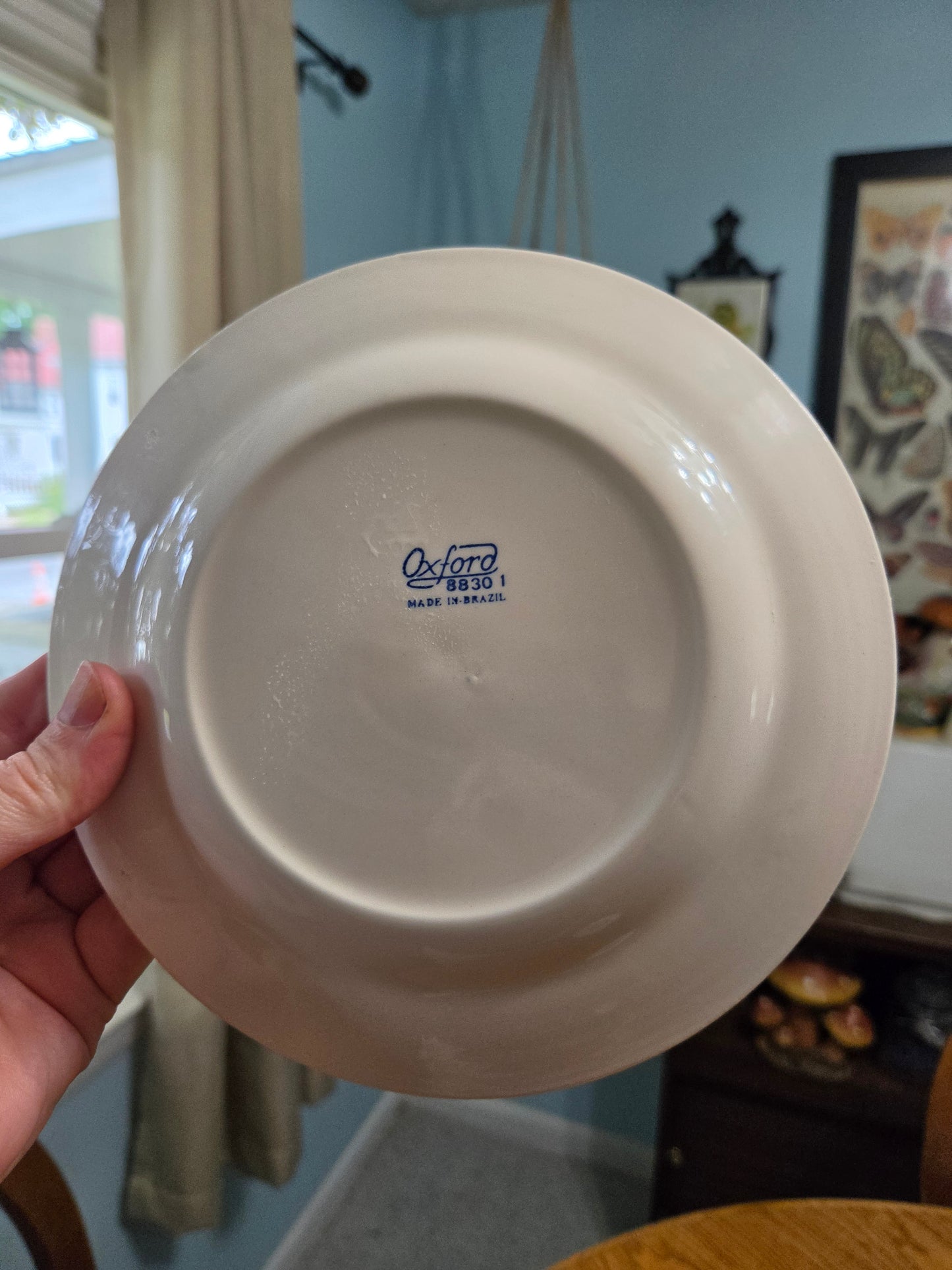 Oxford Country Blue Lunch Plates