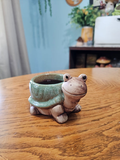 Turtle Planter