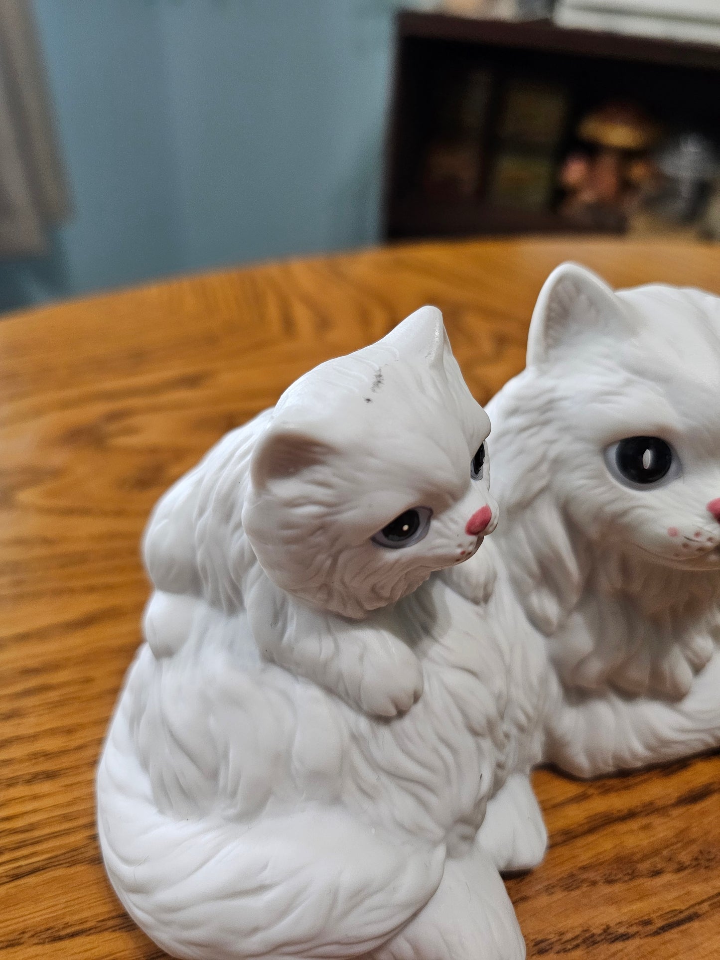 Cat Mom & Kittens