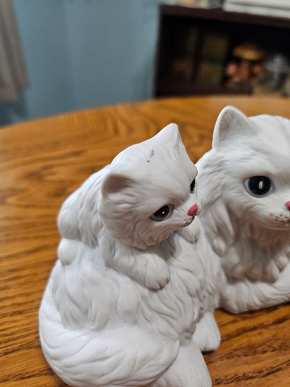 Cat Mom & Kittens