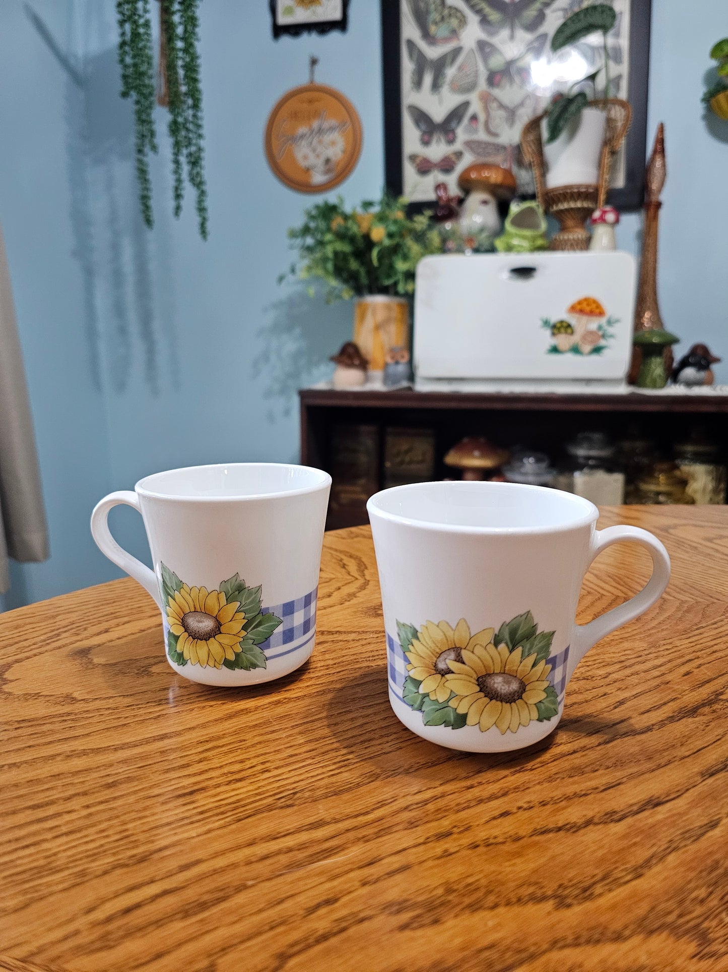 Sunsations Mugs