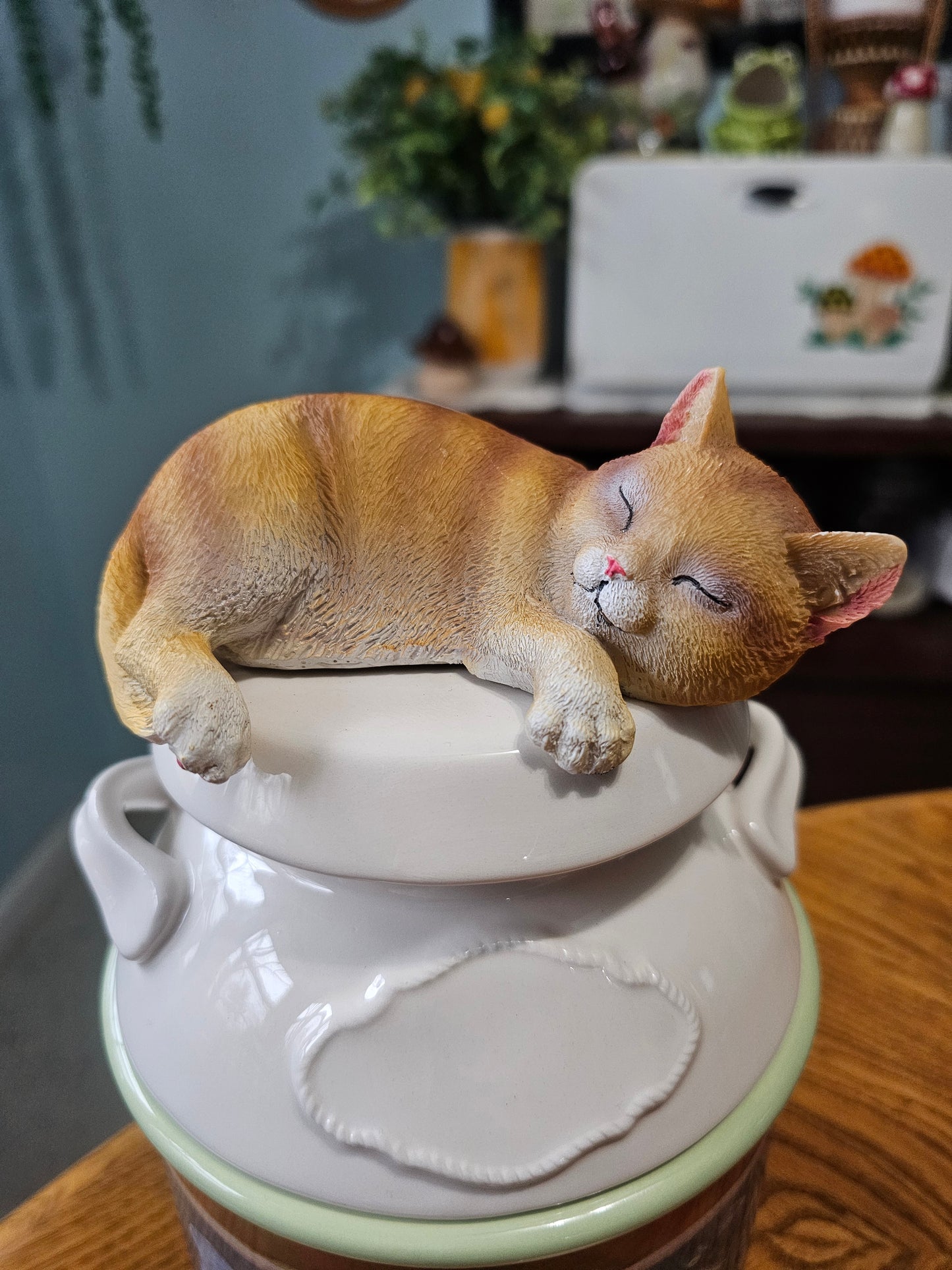 Cozy Kitten Ceramic Canister