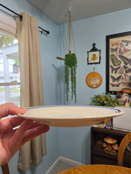 Country Blue Dinner Plates