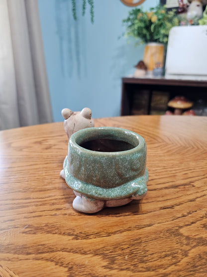 Turtle Planter
