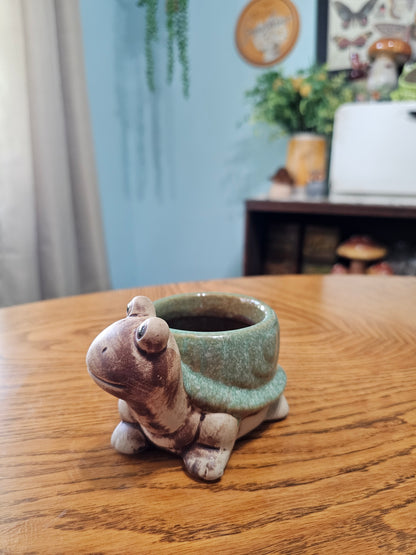 Turtle Planter