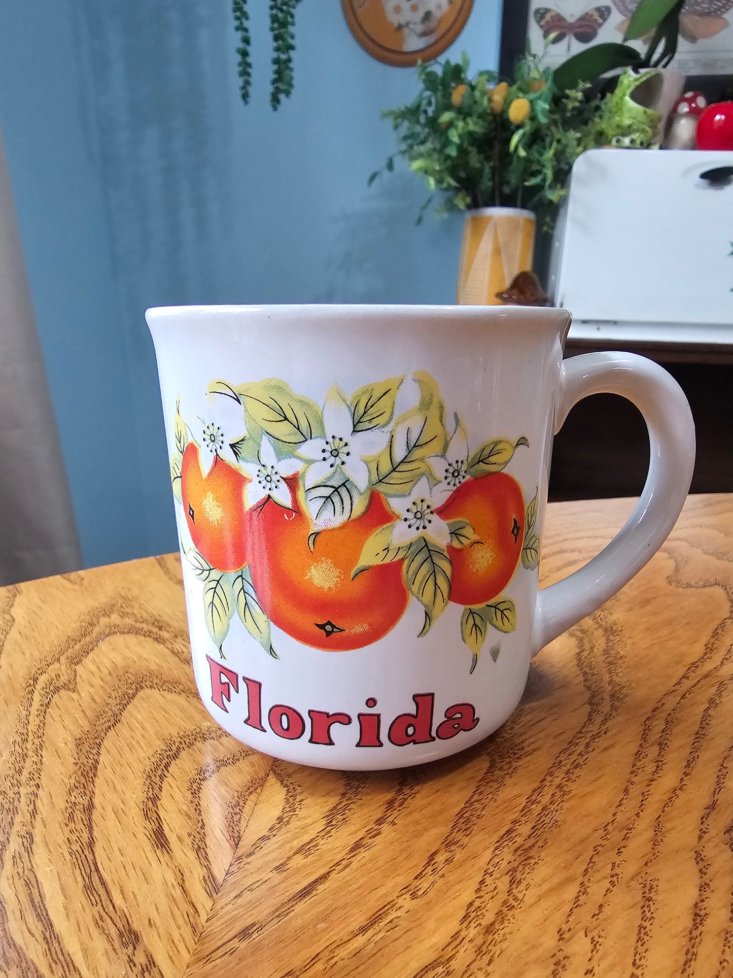 Florida Oranges Mug