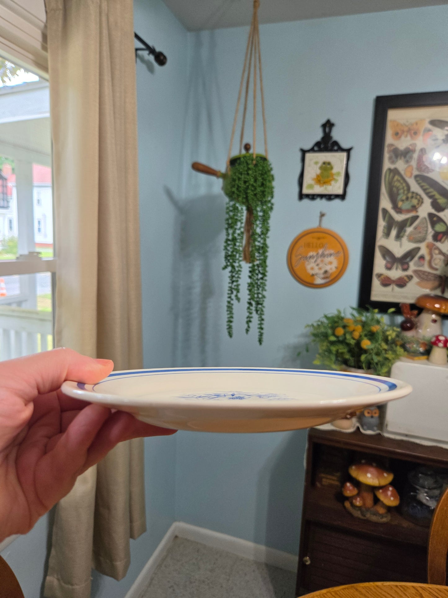 Oxford Country Blue Lunch Plates