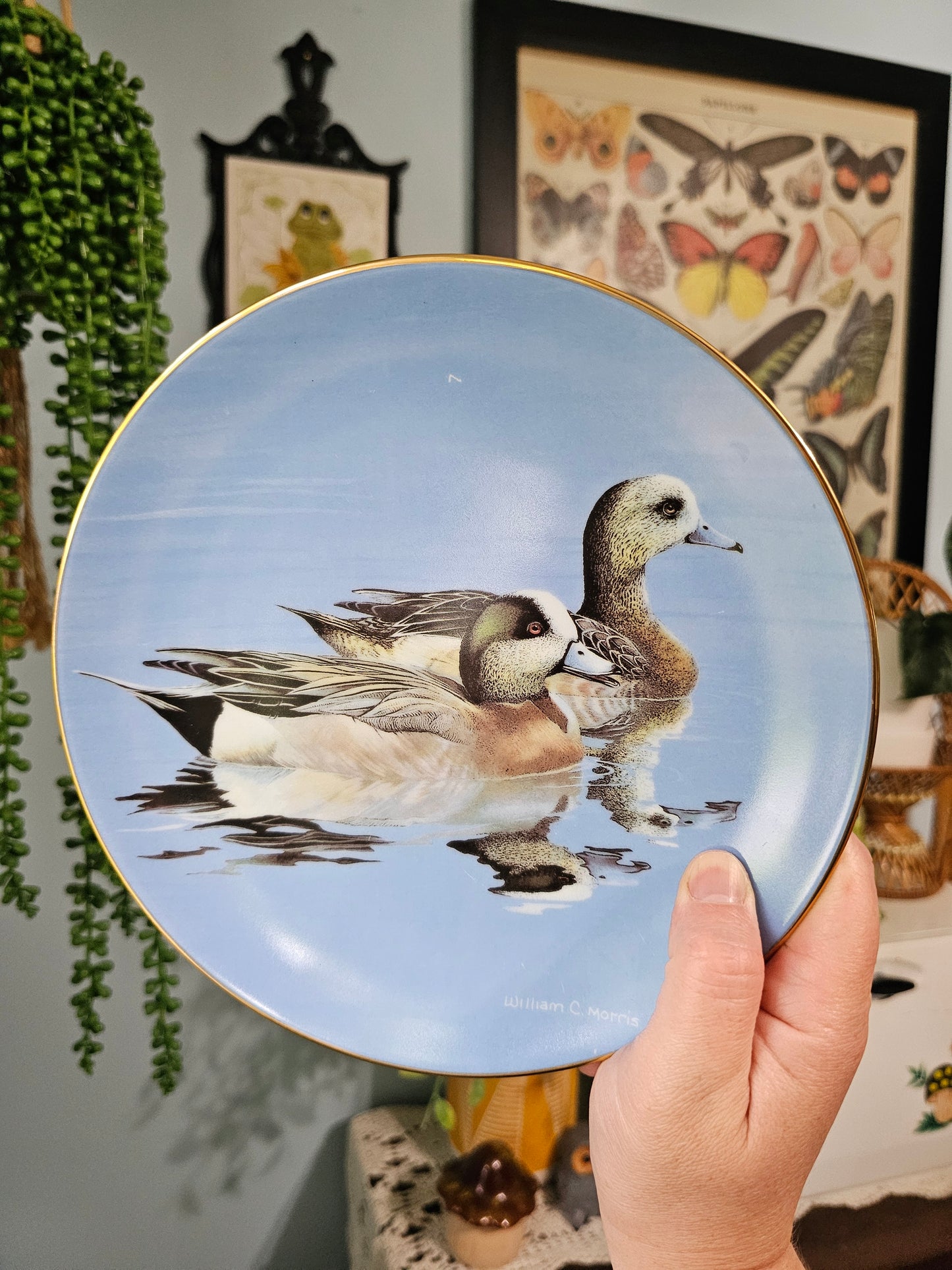Wigeons Plate