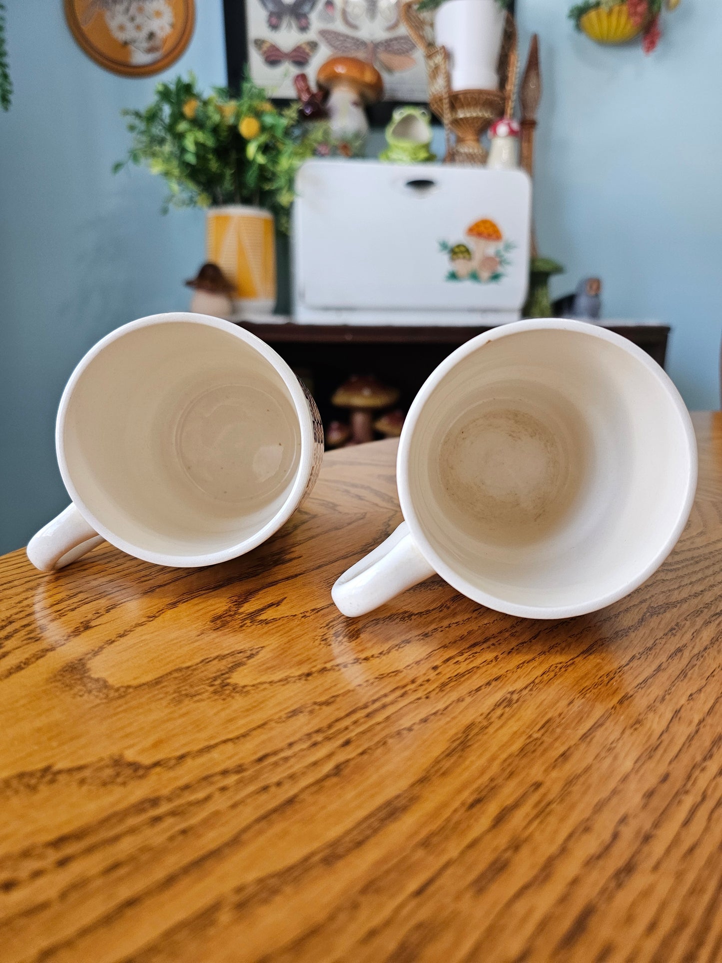 Brown & White Checkered Daisy Mugs
