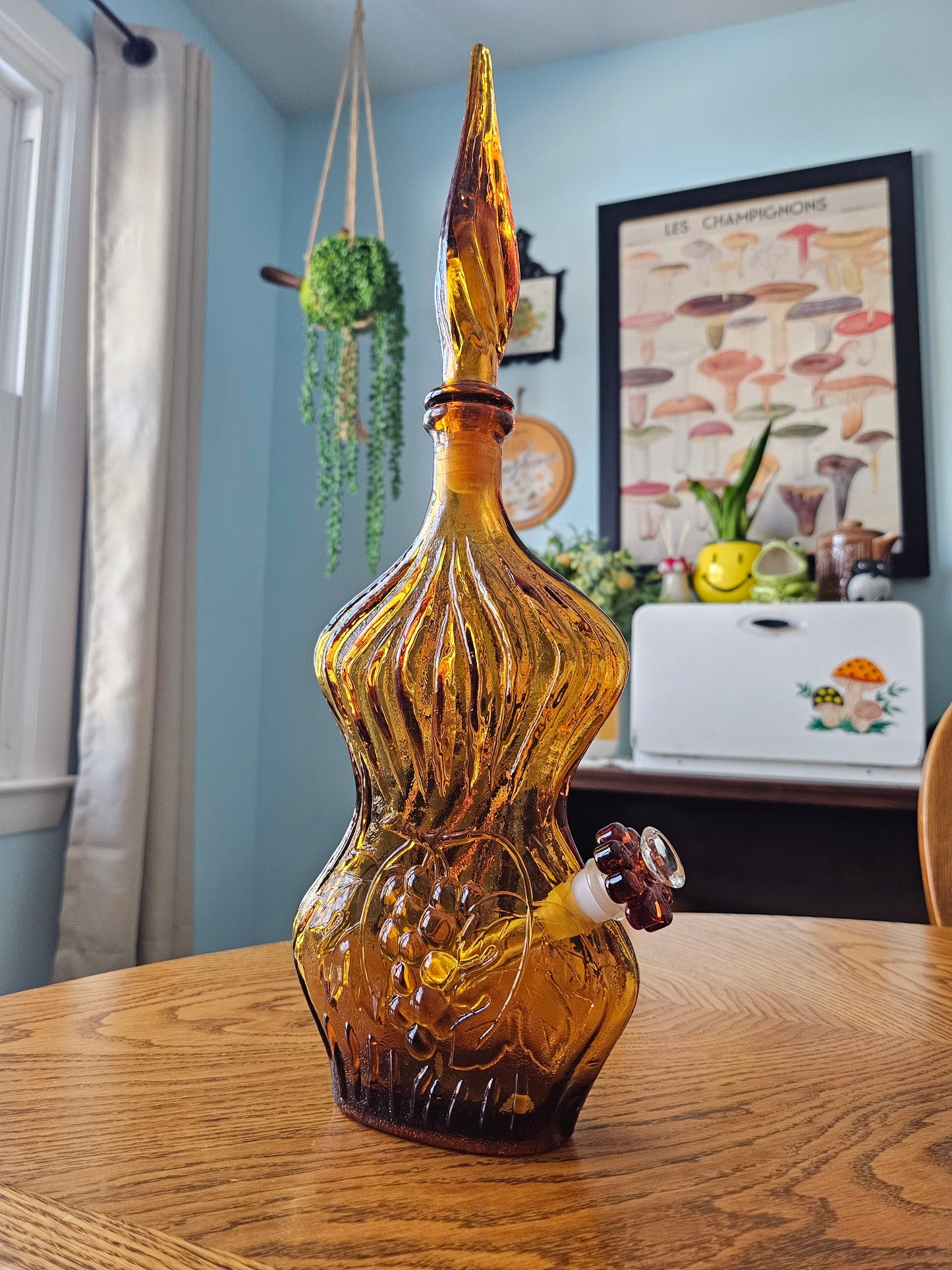 Amber Curves