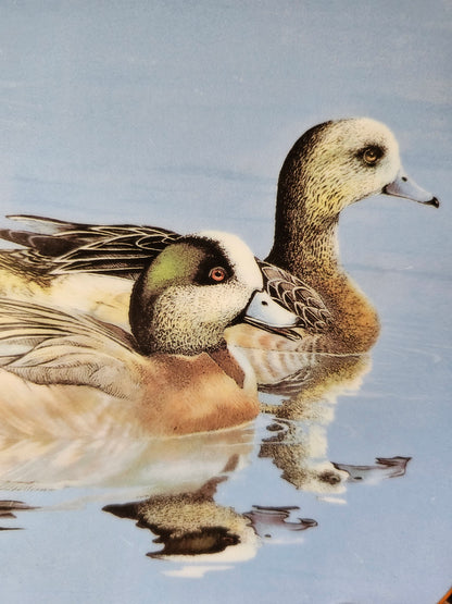 Wigeons Plate