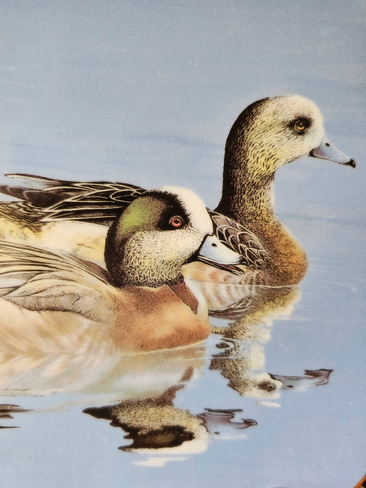 Wigeons Plate